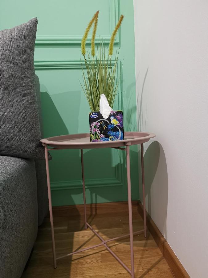 Mateja Apartment ノヴィ・サド エクステリア 写真